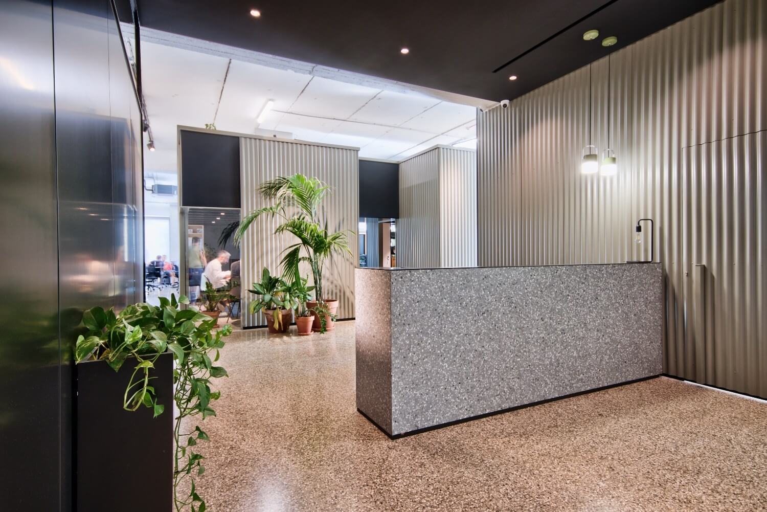 Modern office reception area featuring a terrazzo-clad custom desk from the Minima Collection, surrounded by corrugated metal walls and indoor plants, with a polished concrete floor in Steel Grey tiles.